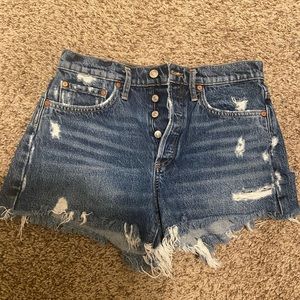 Agolde Parker Denim Shorts